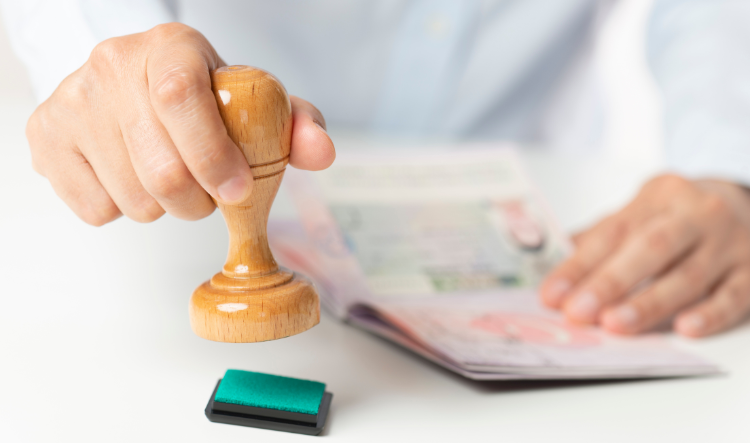 visa process